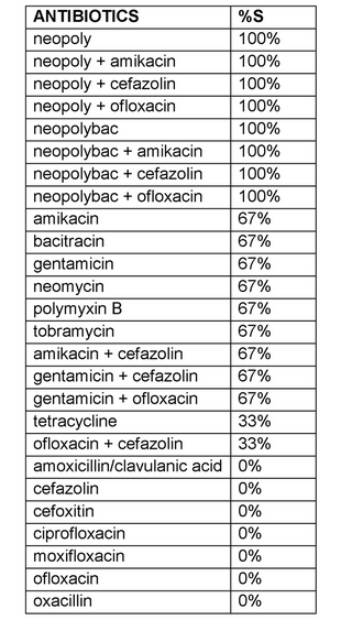 Staphylococcus schleiferi